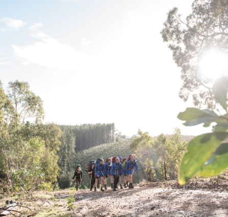 Students trecking on a school camp